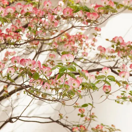 미스트랄 3* 파리