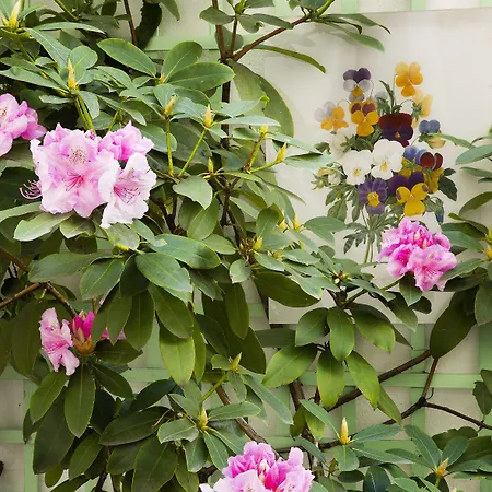 ميسترال فندق باريس