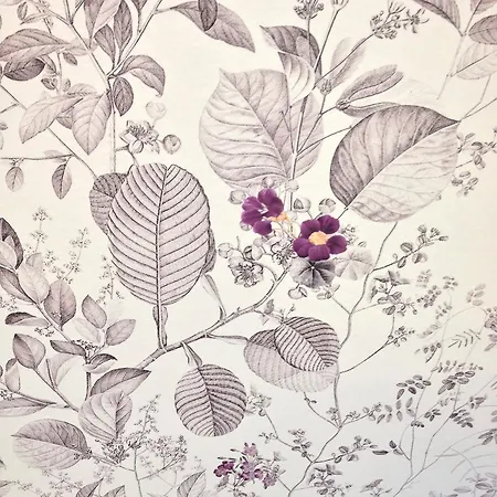 ميسترال 3* باريس