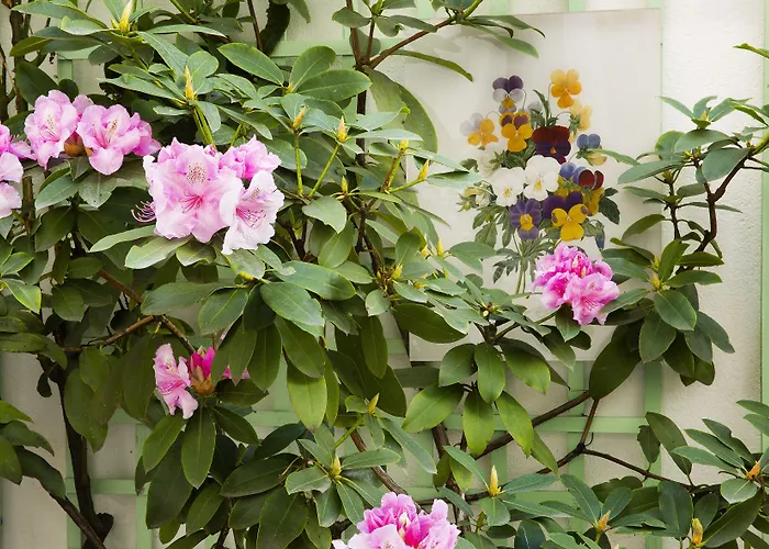 Mistral Hotell Paris